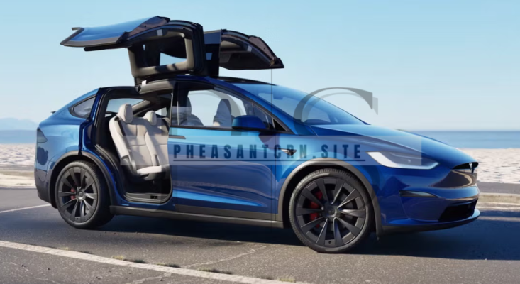 Tesla Model X Signature Performance